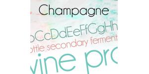 Champagne & Limousines字体素材